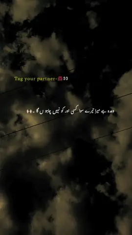 وعدہ ہے میرا تیرے ساتھ جاناں🫠❤️‍🔥#fyp #1millionaudition #foryoupage #grow #account @TikTok 