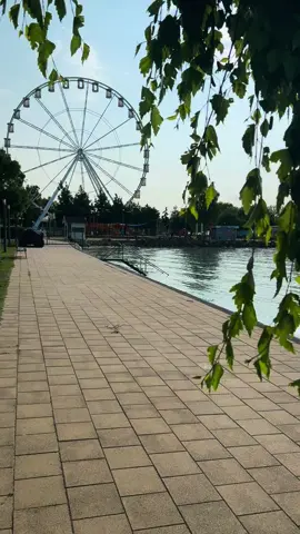 Ahol minden hullám élményt hoz... 🌊🏖️