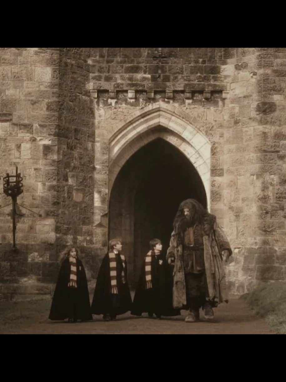El mundo de Harry Potter me salvo de tantas cosas... #harrypotter #viral #fyp #firstlove #trends 