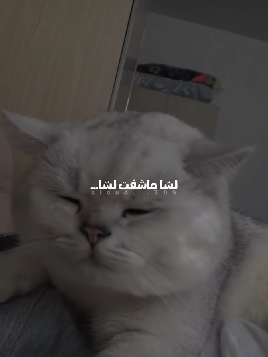 ما ريدك بعد روح😑 . تصميمي ✨☁️ غيمة ☁️✨ #فيروز #اديش_كان_في_ناس #اه_يا_حلو_يا_مسليني  #تبقى_ميل_تبقى_سآل🎵 #اغاني_فيروز    # ابو_وديع 