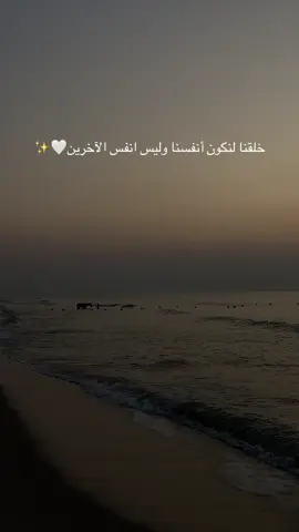 #reel #beachday #Summer #sun #sunset 🌛✨