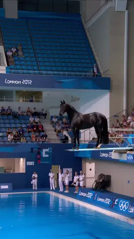 Create viral videos with AI Studio - AI Video Generator #olimpiadas #ai #olympic 