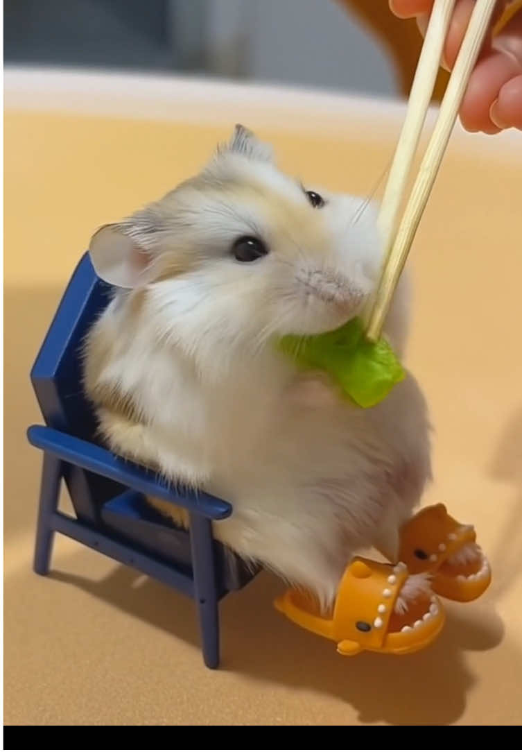 “Jantar de luxo versão hamster 🍽️😂 até saladinha no rashi ele tem!” IA  #hamster #cuteanimals #fofo #PetsOfTikTok #foryou     