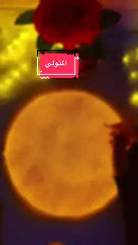 المتولي 