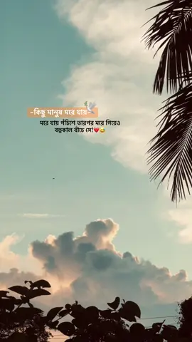 ❤️‍🩹🕊️