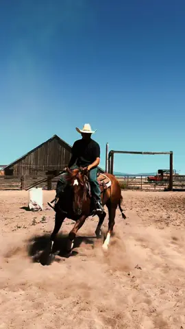 The “old man” around here. #trending #horsetraining #saddle 