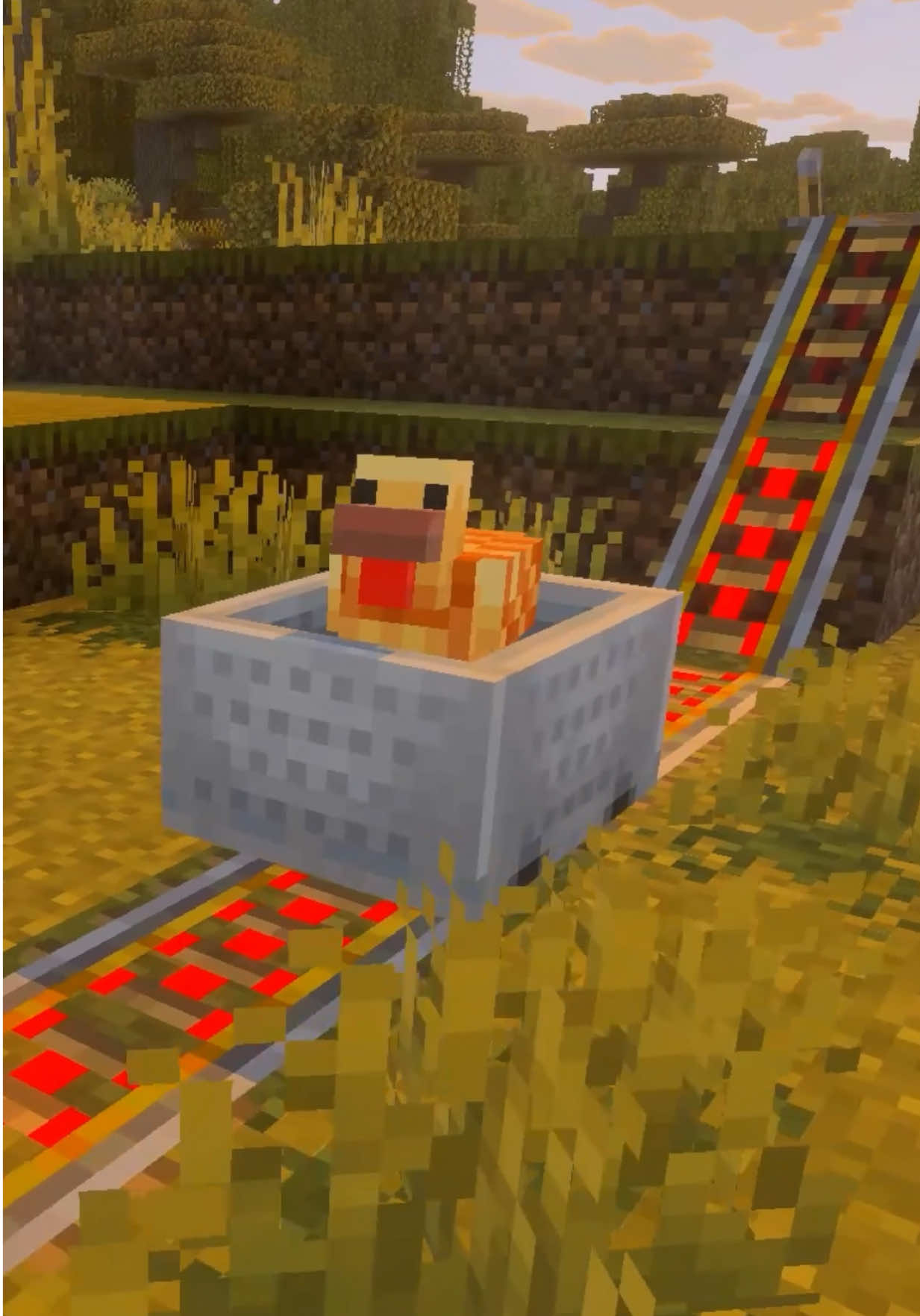 Vroom vroom 🐔🏎️ #Minecraft #minecraftmemes 