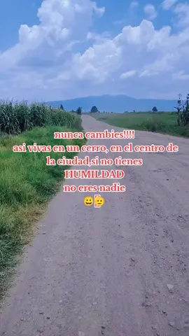 🫡