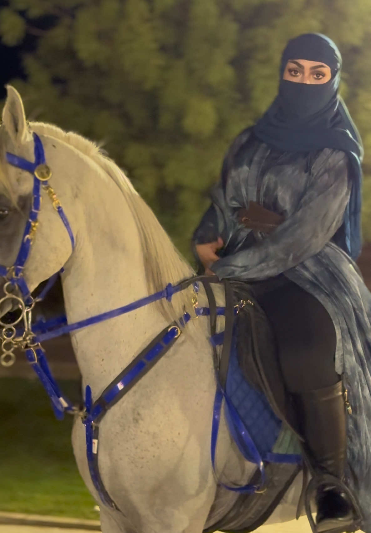 #المملكة_العربية_السعودية #خياله #خيل_عربي #CapCut #جبل_طويق 