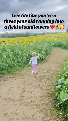 Just joy 🥰❤️🌻 #healthylifestyle #walking #wellness #wellbeing #joy 