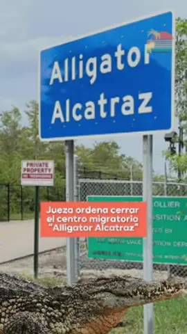 La jueza federal Kathleen Williams ordenó el desalojo del centro de detención migratoria conocido como “Alligator Alcatraz”, en Florida, por incumplir normas ambientales. La sentencia establece un plazo de 60 días para retirar progresivamente a los detenidos y desmantelar la infraestructura, prohibiendo además el ingreso de nuevos migrantes. El complejo, considerado fundamental dentro de la estrategia de Donald Trump, estaba ubicado en un área ecológicamente frágil. #Noticias #News #AlligatorAlcatraz #Florida #Migración