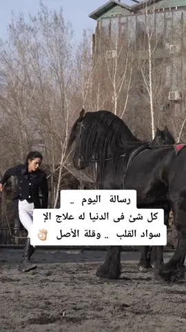 #خيل_وخياله🐎 #خيل_حصان_فرس_مهره_خيول_امهار_العاديات #horseriding #fouryoupagee #explorepage✨ 