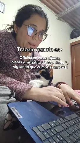 ¿quien más tiene una secretaria tan exigente? #trabajoremoto #callcenter #perú #homeoffice #humor 