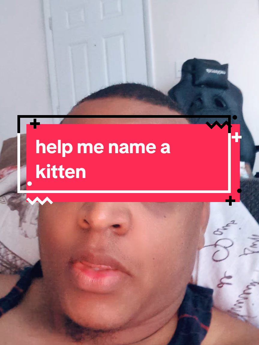 help me name this baby kitten #names #babykitten #kitten