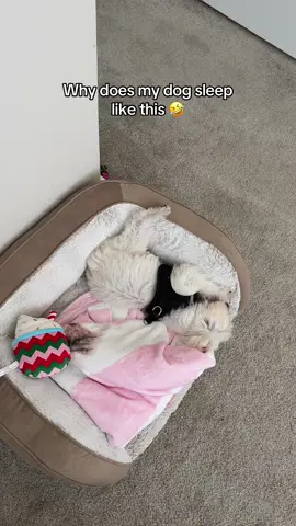 soooo comfy 