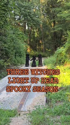 Evergreen Set of 3 Lighted Halloween Witches #@QVC, Inc #witches #halloween #halloweendecor #spookyseason 