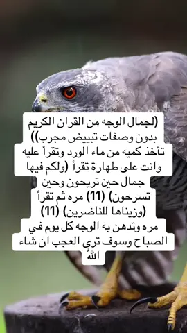#روحانيات_واسرار #لايكات #اكسبلور #اعادة_النشر🔃 #مشاركه_اكسبلور_ولايك 