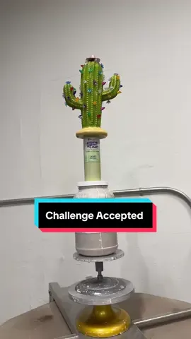 U didn’t really think we would get up there? #nickiminajchallenge #cactus #ceramicstudio #lightbright @Mayco Colors @Skutt @LagunaClay 