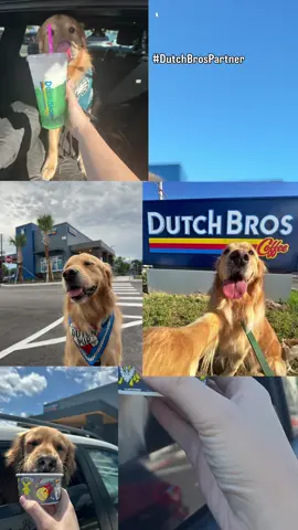 #DutchBrosPartner August 26th is National Dog Day and @DutchBros is celebrating with an exclusive dog bandana drop! Customers will receive a free, limited-edition dog bandana with the purchase of a medium or large drink at Dutch Bros on National Dog Day. Ever since the first Dutch Bros opened in Florida we’ve been ✨obsessed✨, so we couldn’t have imagined a more perfect way to celebrate🐾🙌🏻 
