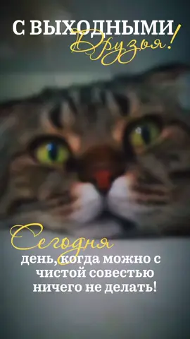 #доброеутречко #выходные #top 