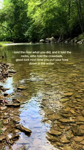 go ahead, put them toes down in the water  i mean this in a “🪕🦞🌿🌊” way, not a “🪬🔮⚰️”  way  #nature #river #naturetiktok #fyp #secretaccount 