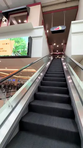 Is this what heaven looks like? 
