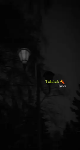 ##somalilyrics🌺😕💎 #somalilyrics🌺😕💎jawi_bila🌊❤️🌴 #Tukulushlyrics🍂 #jawi_bila🌊❤️🌴somalilyrics🌺😕💎 #jawi_bila🌊❤️🌴 