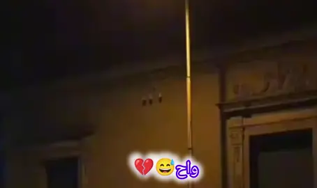 #ملتي_مِڼـّي_حياتي🌚💞🦚😂 #شعب_الصيني_ماله_حل😂😂 
