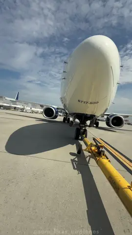 pushed off one the easiest gate in Atlanta🤭… | #delta #deltaairlines #737800 #atlantaairport #rampagent 