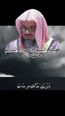 يامن يرى مد البعوض جناحها في ظلمة الليل البهيم  الاليلِ #اكسبلورررررررررررررررررررررررررررر #عبدالملك_ #الامير #الشيخ_سعود_الشريم_حفظه_الله #الشيخ_سعود_الشريم 