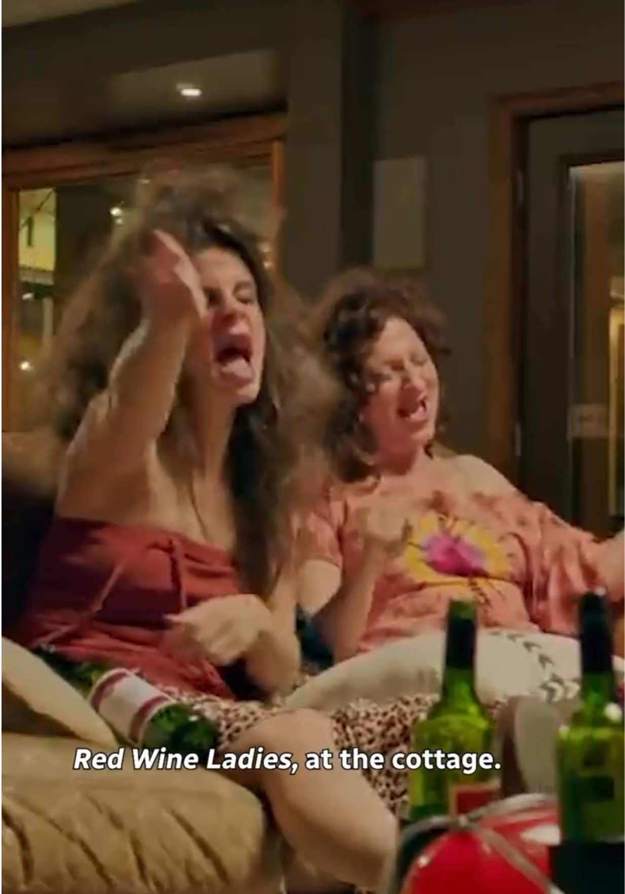 Here is your sign to go to the cottage this weekend!! Don't forget the wine! 🍷 ☀️ Stream Baroness Von Sketch Show on @CBC Gem | #BVSS #Summer #cottage #summervibes #redwine 