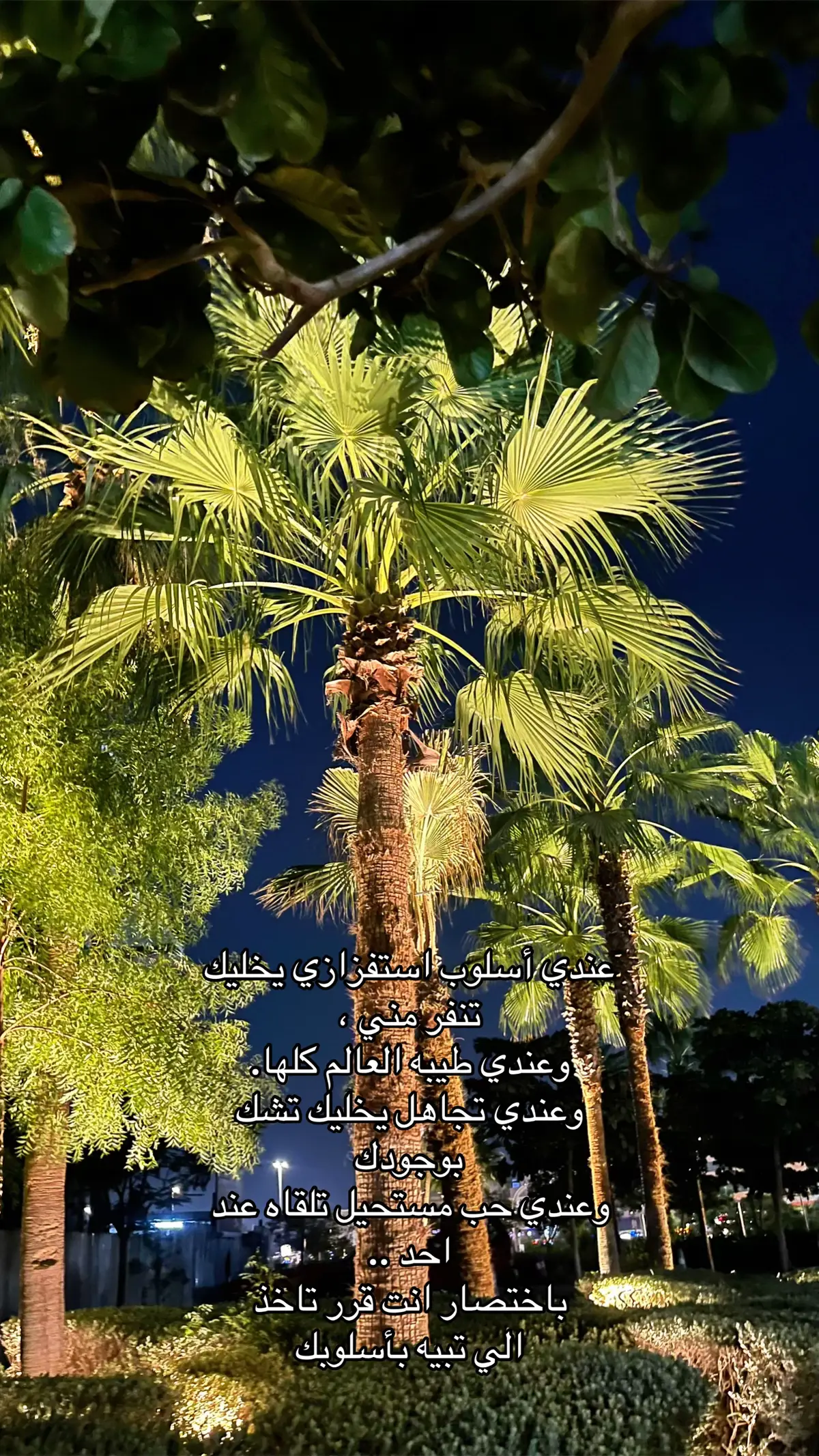 #لايك__explore___ #هاشتاق #fyppppppppppppppppppppppp #لايك #اكسبلور 