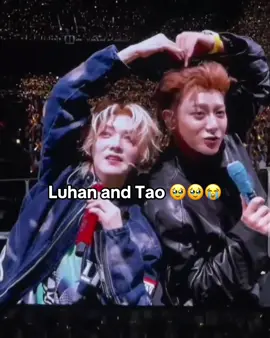 #exo #luhan #ztao #luhanasiatour2025 #fyp 
