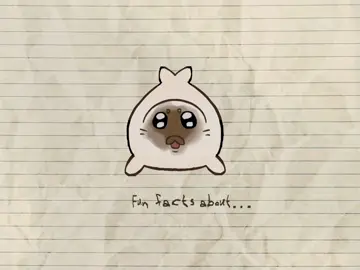 Long awaited Niko part! Ough!! #seal #DidYouKnow #sealsoftiktok #fyp #animated @madi 🩸 🦭🦭