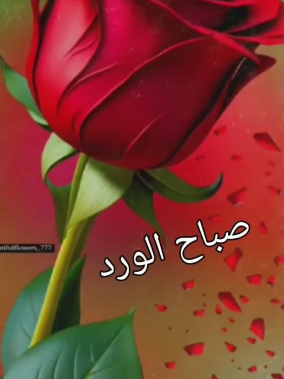 #صباحكم_معطر_بذكر_الله #اكسبلور #