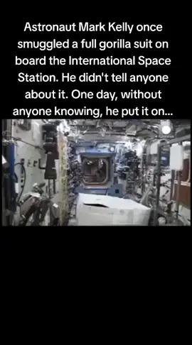Astronaut Mark Kelly once smuggled a full gorilla suit on board the International Space Station. He didn't tell anyone about it. One day, without anyone knowing, he put it on. #NASA #internationalspacestation  #iss #space #Astronaut 