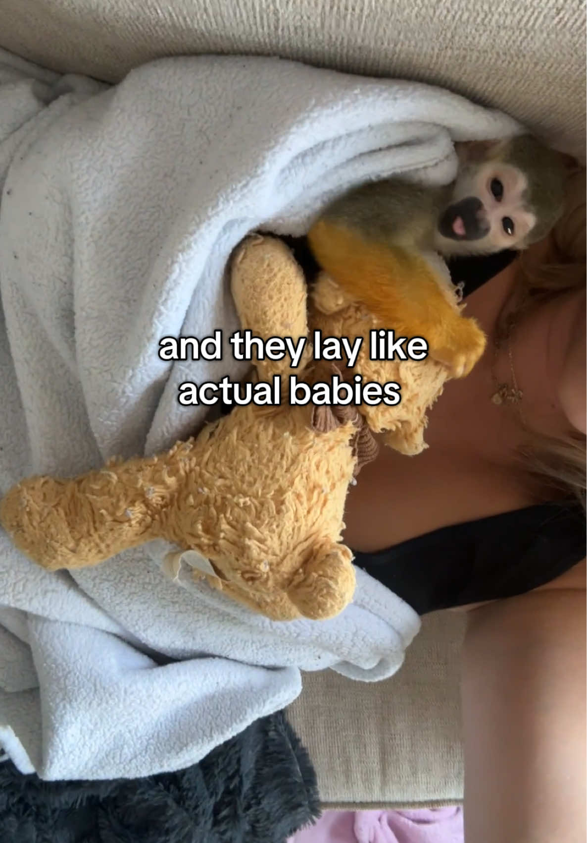 they try to help and be like us it’s so so cute 