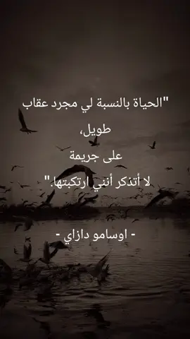 #اقتباسات #مصر #المغرب #اليمن #الجزائر تونس فلسطين ⚖️