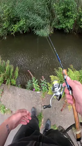 First 10 comments get a follow!  Larva grub lures from @Harmony Baits perch and pike fishing local canal let’s see what we can catch!#fishing #fishinglife #harmonybaits #fishingtips #spinning #catch #fishingtiktoks 