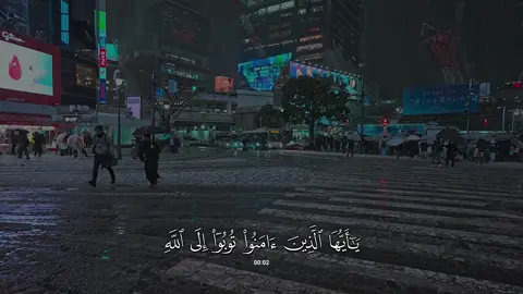 سورة #التحريم | #احمد_عبدالرزاق_نصر 