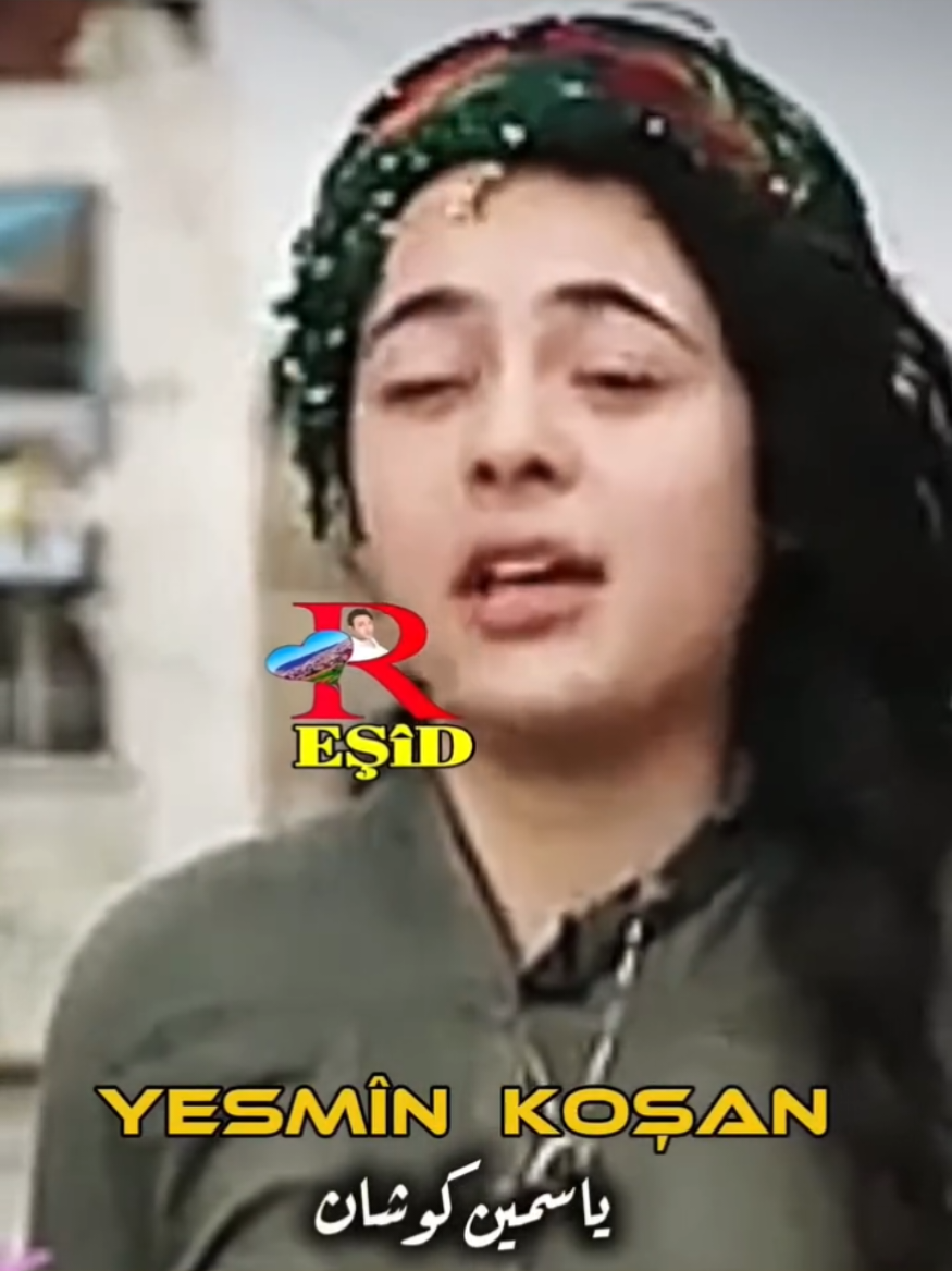 #ياسمين_كوشان #رشيد_رضوان 