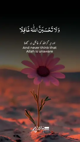 #CapCut ##قرآن🌹 #قرآن_كريم #محمد_رسول_الله #ahlybait🚩 