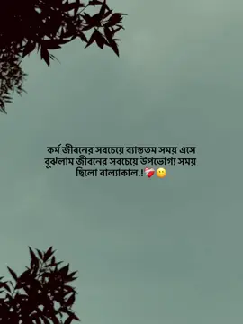 কর্ম জীবনের সবচেয়ে ব্যাস্ততম সময় এসে বুঝলাম জীবনের সবচেয়ে উপভোগ্য সময় ছিলো বাল্যাকাল.!❤️‍🩹🙂#foryou #foryoupage #virul #unfrezzmyaccount #qatar🇶🇦 #tiktokbangladesh🇧🇩 #fypシ゚ 
