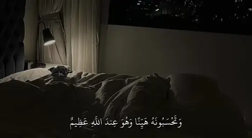 سورة : النور | 15|| #قران #fyp #quran 