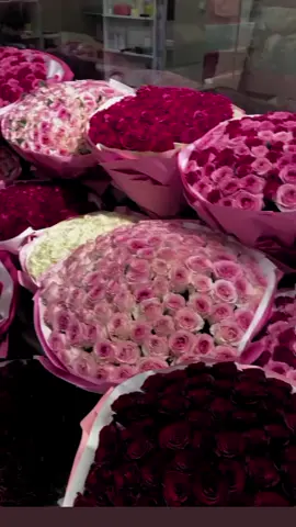 #roseofmyparadise 