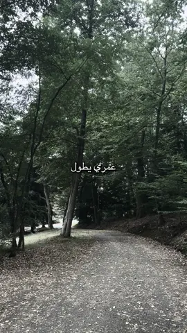 #لا_تروح#اليسا#Sing_Oldies#اليسا_ملكه_الاحساس#elissa 