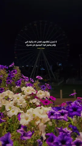 آخر اقتباس نسخته… #الانبار_الرمادي #الرمادي_شموخ_عزالانبار #الانبار #محافظات_العراق  