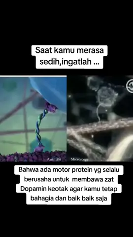 Ternyata ada yg seeffort itu  supaya kita bahagia terus 🥹 jgn lupa kirim alfatihah utk diri sendiri ya #fyp 