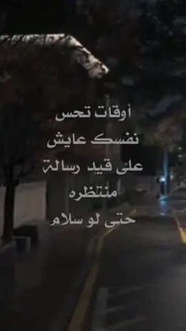 #حبيب_الليل #fyp #viral #fypシ 