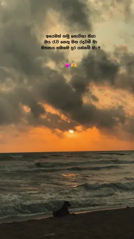 ♥️🫶 #fyp #fypシ゚ #foryou #trending #viral #goviral #300k #reality #🦄 